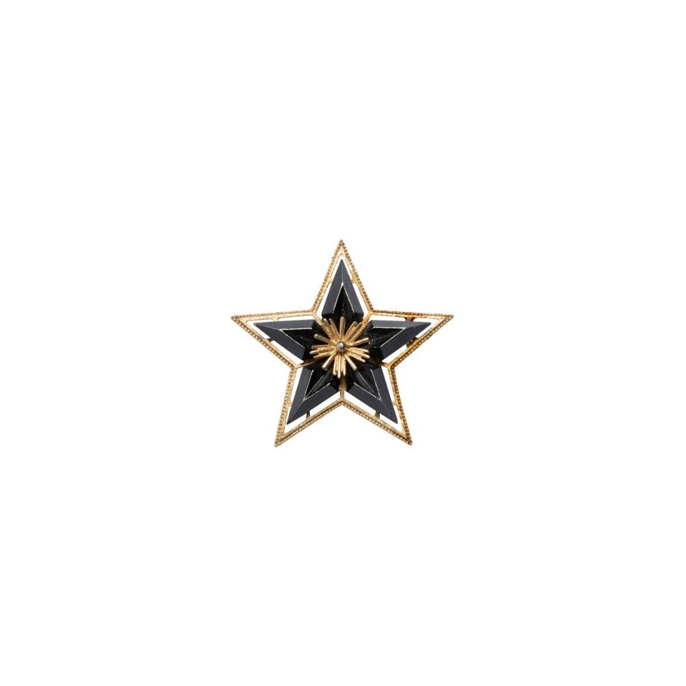 Charles Frederick Worth (France) Morning Star Brooch